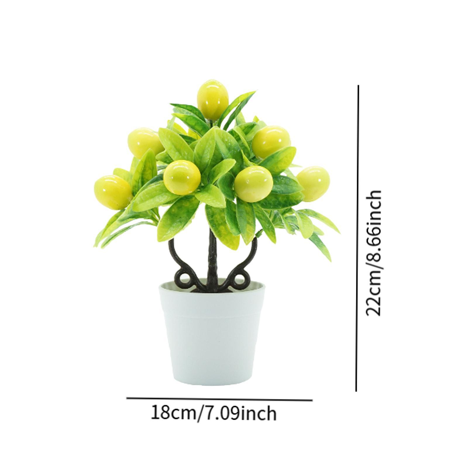 Plantas Artificiais em Vaso Re - Plant Pot Small Desk avaliação e preço
