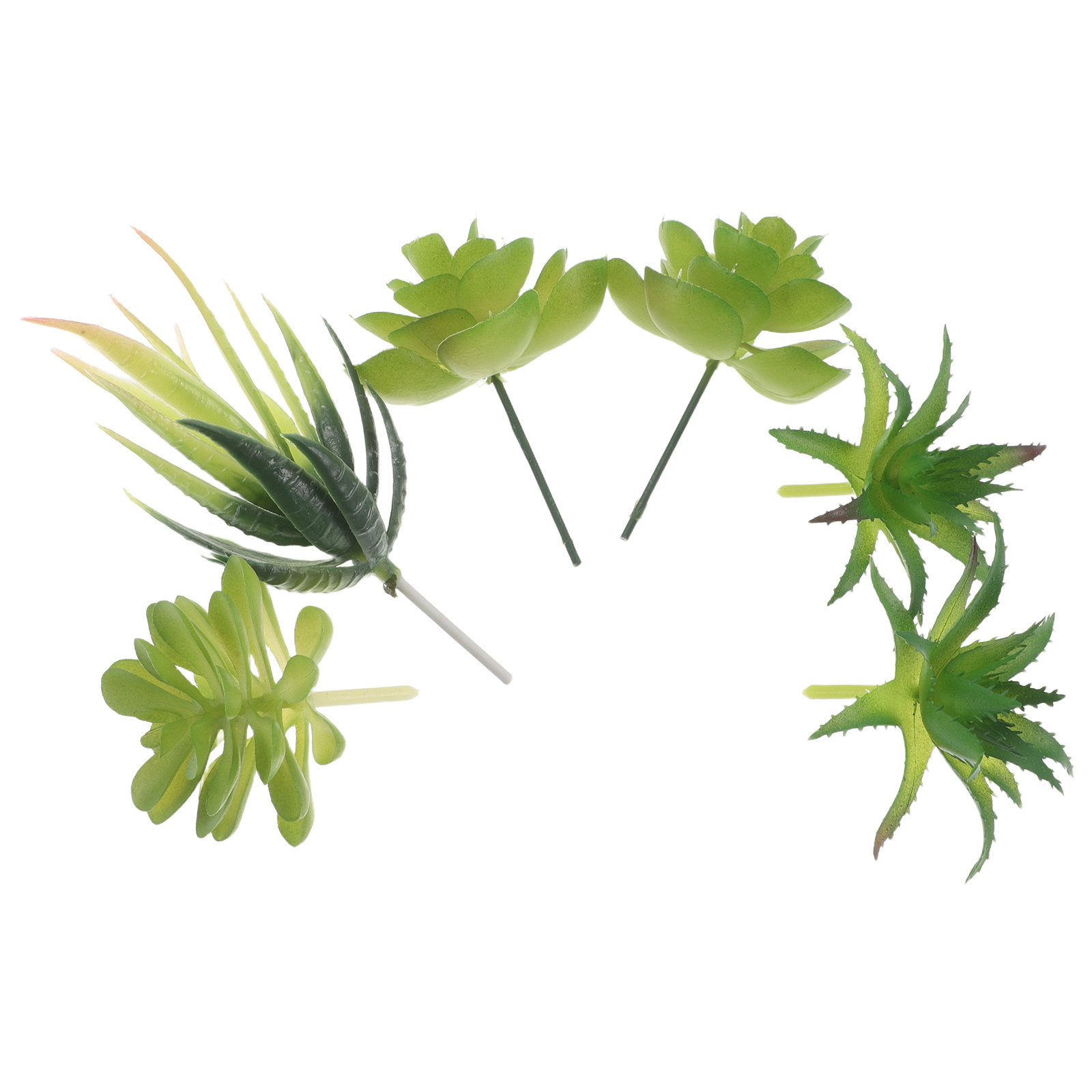 6 Peças de Plantas Suculentas  - Plant Pot Small Desk avaliação e preço